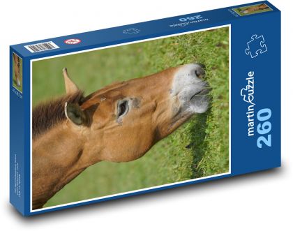 Horse - Puzzle 260 pieces, size 41x28.7 cm 