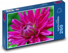 Flower - Dahlia Puzzle 260 pieces - 41 x 28.7 cm 