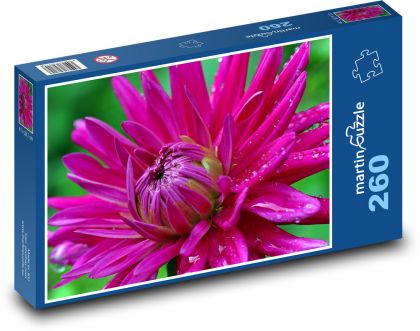 Flower - Dahlia - Puzzle 260 pieces, size 41x28.7 cm 