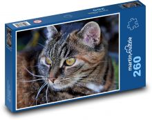 Cat Puzzle 260 pieces - 41 x 28.7 cm 