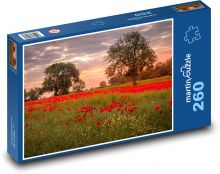 Ackworth, Poppy Field Puzzle 260 pieces - 41 x 28.7 cm
