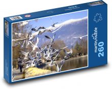 Vtáky - čajka Puzzle 260 dielikov - 41 x 28,7 cm 