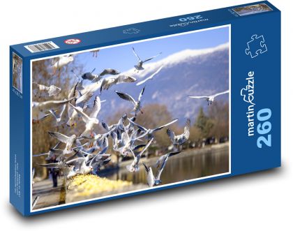 Vtáky - čajka - Puzzle 260 dielikov, rozmer 41x28,7 cm