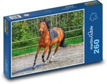 Zvířata - Kůň Puzzle 260 dílků - 41 x 28,7 cm