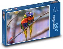Papoušci, exotické ptactvo Puzzle 260 - 41x28,7 cm