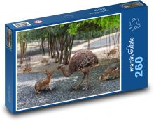 Zoo - mláďata Puzzle 260 dílků - 41 x 28,7 cm