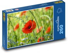 Poppies - nature, flowers Puzzle 260 pieces - 41 x 28.7 cm 