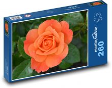 Ruža - oranžový kvet Puzzle 260 dielikov - 41 x 28,7 cm 