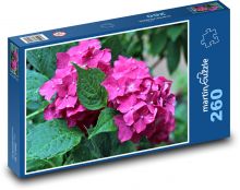 Hortensja - różowa, rosa Puzzle 260 elementów - 41x28,7 cm