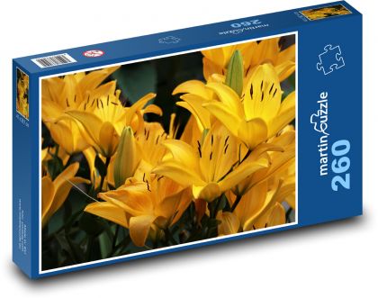 Lily - yellow flower - Puzzle 260 pieces, size 41x28.7 cm 