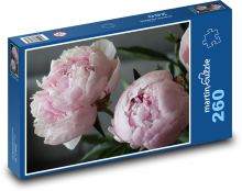 Peonies - pink Puzzle 260 pieces - 41 x 28.7 cm 