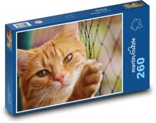 Cat - rusty, cute Puzzle 260 pieces - 41 x 28.7 cm 