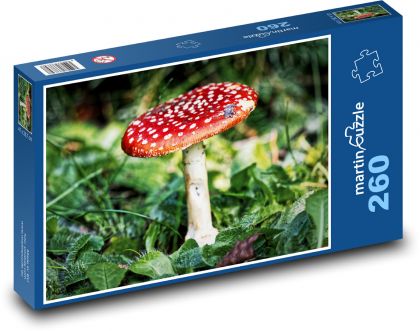 Mochomůrka - jedovatá houba - Puzzle 260 dílků, rozměr 41x28,7 cm