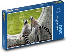 Lemur - opice, zoo Puzzle 260 dílků - 41 x 28,7 cm