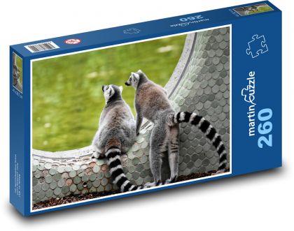 Lemur - opice, zoo - Puzzle 260 dílků, rozměr 41x28,7 cm