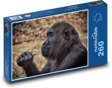 Monkey - gorilla, mammal Puzzle 260 pieces - 41 x 28.7 cm 