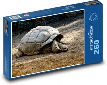 Korytnačka - obrovský plaz Puzzle 260 dielikov - 41 x 28,7 cm 