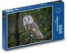 Bird - owl, tree Puzzle 260 pieces - 41 x 28.7 cm 