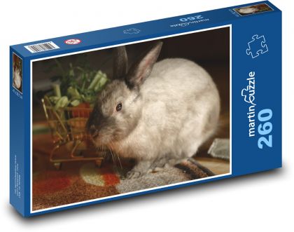 Dwarf rabbit - domestic animal, mammal - Puzzle 260 pieces, size 41x28.7 cm 