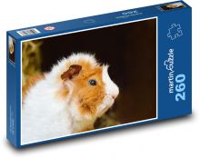 Guinea pig - domestic animal, cub Puzzle 260 pieces - 41 x 28.7 cm 