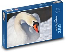 Swan - water bird, winter Puzzle 260 pieces - 41 x 28.7 cm 