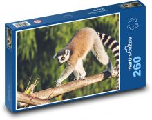 Lemur - animal, monkey Puzzle 260 pieces - 41 x 28.7 cm 