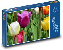 Tulips - bloom, spring Puzzle 260 pieces - 41 x 28.7 cm 