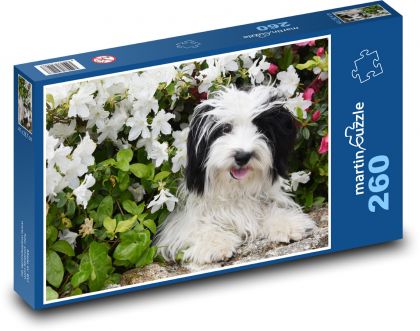 Dog - animal, flowers - Puzzle 260 pieces, size 41x28.7 cm 