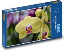 Orchidej - květina, žlutý kvě Puzzle 260 dílků - 41 x 28,7 cm