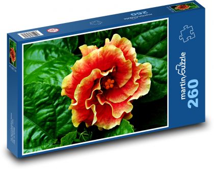 Hibiscus - orange flower, flower - Puzzle 260 pieces, size 41x28.7 cm 