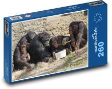Šimpanz - opice, zvířata Puzzle 260 dílků - 41 x 28,7 cm
