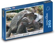 Korytnačka obrie - zviera, zoo Puzzle 260 dielikov - 41 x 28,7 cm 