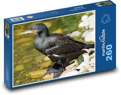 Kormorán - vodný vták, zoo - Puzzle 260 dielikov, rozmer 41x28,7 cm