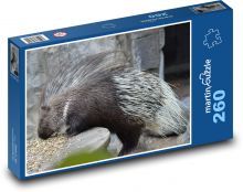 Porcupine - rodent, animal Puzzle 260 pieces - 41 x 28.7 cm
