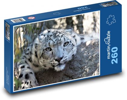 Leopard - velká kočka, šelma - Puzzle 260 dílků, rozměr 41x28,7 cm