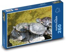 Żółwie -, zwierzęta Puzzle 260 elementów - 41x28,7 cm