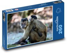 Monkey - cub, animal, zoo Puzzle 260 pieces - 41 x 28.7 cm 