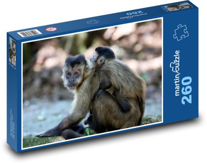 Monkey - cub, animal, zoo - Puzzle 260 pieces, size 41x28.7 cm 