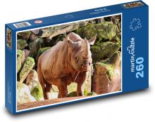 Nosorožec v zoo - veľké zviera, príroda Puzzle 260 dielikov - 41 x 28,7 cm 