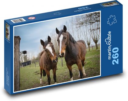 Brown horses - stallion, mare - Puzzle 260 pieces, size 41x28.7 cm 