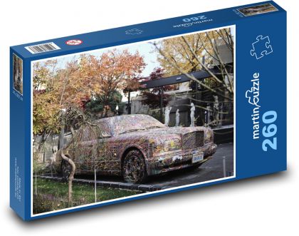 Art - car, street - Puzzle 260 pieces, size 41x28.7 cm 