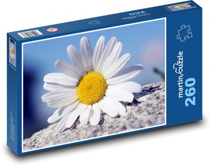 Dill - white flower, plant - Puzzle 260 pieces, size 41x28.7 cm 