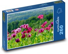 Wolf poppy - field Puzzle 260 pieces - 41 x 28.7 cm 