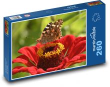 Květ - motýl, hmyz Puzzle 260 - 41x28,7 cm