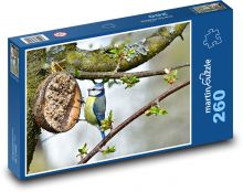 Blue - bird, animal Puzzle 260 pieces - 41 x 28.7 cm 