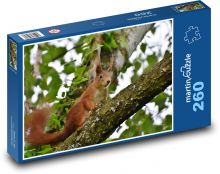 Veverička - strom, zviera Puzzle 260 dielikov - 41 x 28,7 cm 