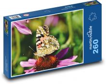 Babočka bodláková - motýl, hmyz Puzzle 260 dílků - 41 x 28,7 cm