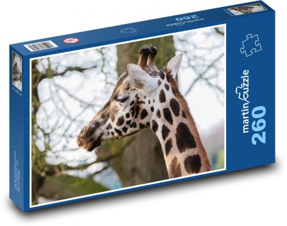 Giraffe - horns, long neck - Puzzle 260 pieces, size 41x28.7 cm 