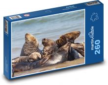 Common seal - animals, sea Puzzle 260 pieces - 41 x 28.7 cm 