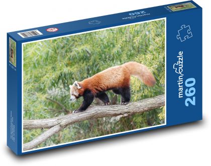 Panda červená - červený medvěd, zvíře - Puzzle 260 dílků, rozměr 41x28,7 cm